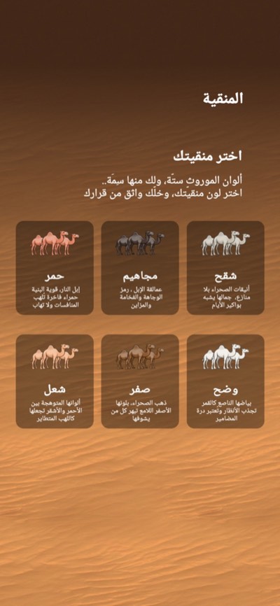 شاشة «اختر منقيتك»: ست بطاقات، لكل لون من ألوان الإبل الستة بطاقة.